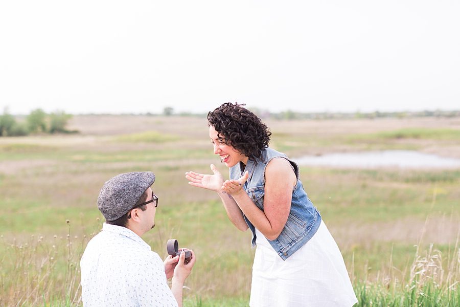surprise proposal 