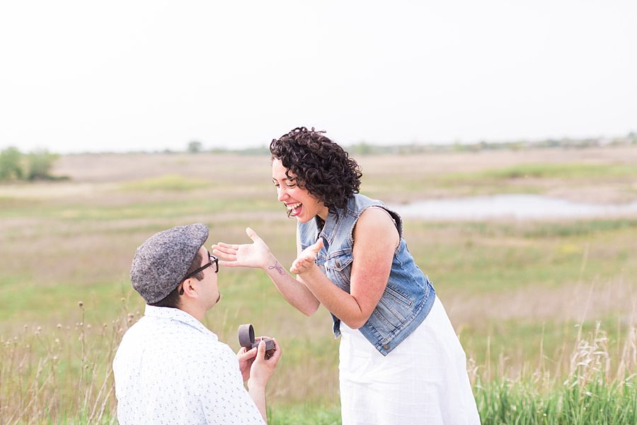 surprise proposal in naperville 