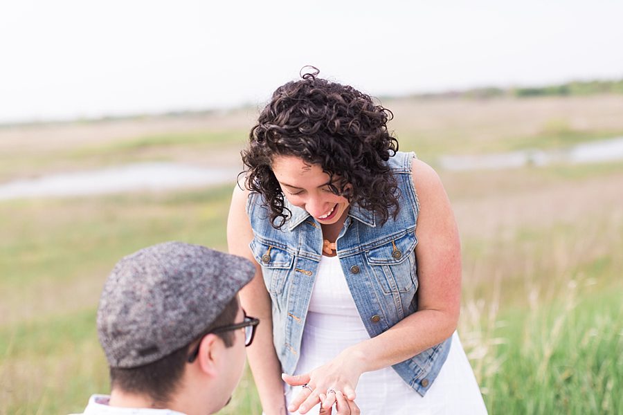 proposal photographs in naperville 