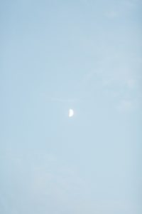 Wisconsin Wedding Photographer